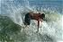 (October 8, 2004) BHP - Local Surfers